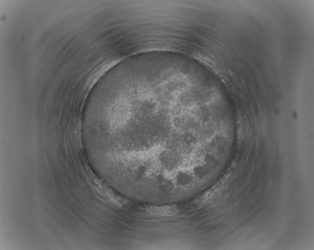 X0000076091121200610061634