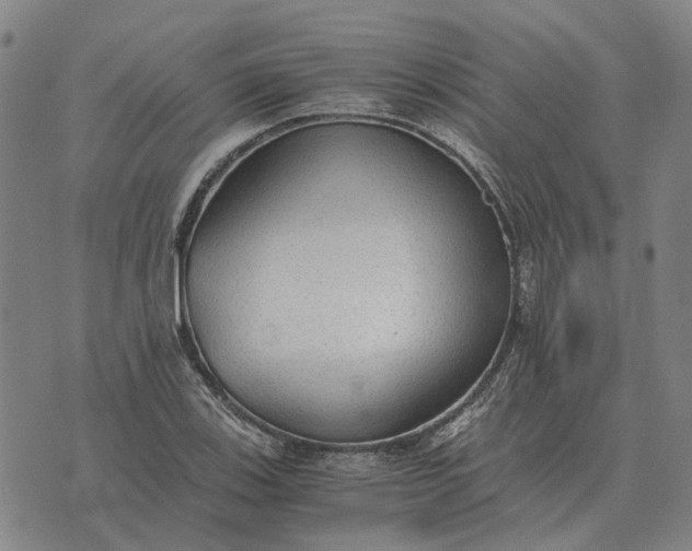 X0000076091123200610061634