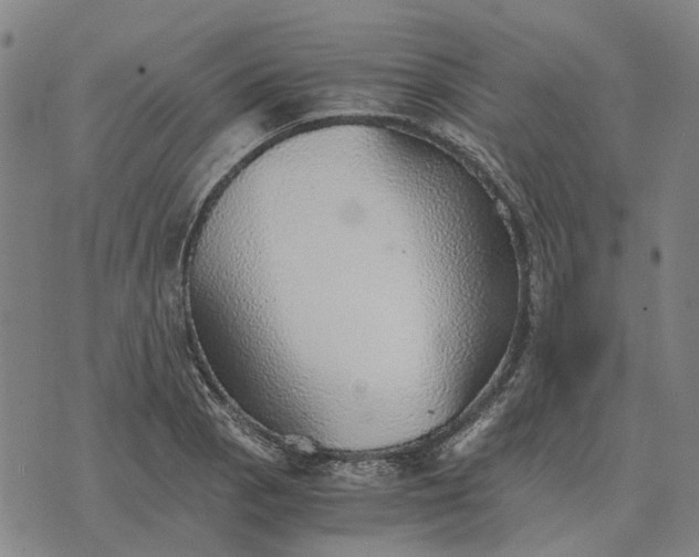 X0000076091129200610061634