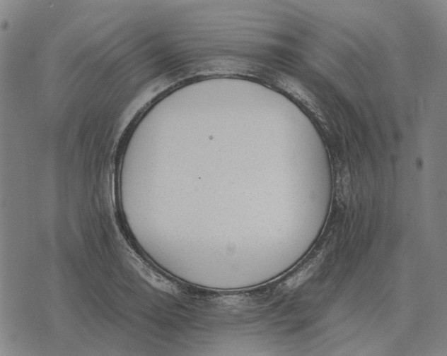 X0000076091130200610061634