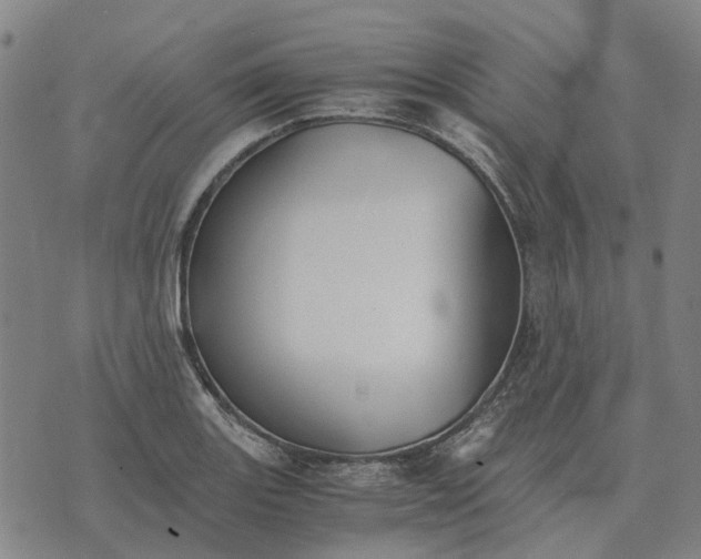 X0000076091131200610061634