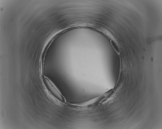 X0000076091132200610061634