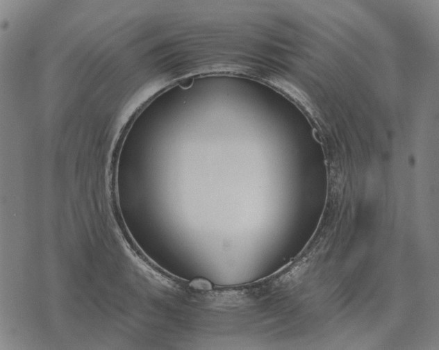 X0000076091135200610061634