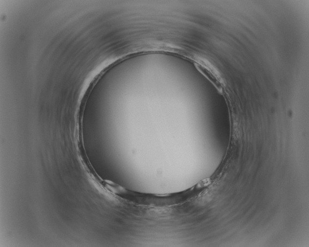 X0000076091136200610061634