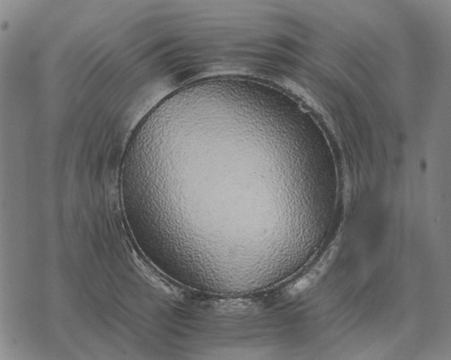 X0000076091137200610061634