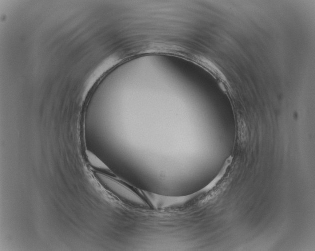 X0000076091138200610061634