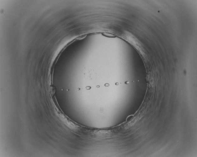 X0000076091140200610061634