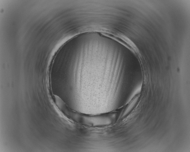 X0000076091144200610061634