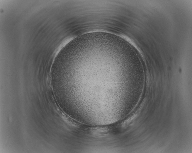 X0000076091145200610061634