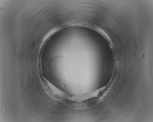 X0000076091146200610061635