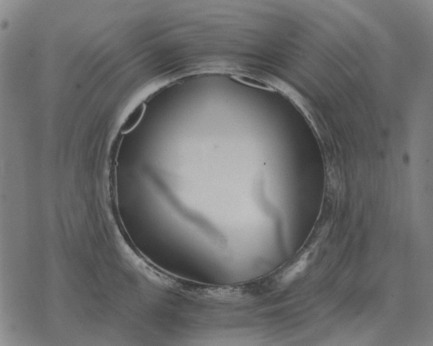 X0000076091147200610061635