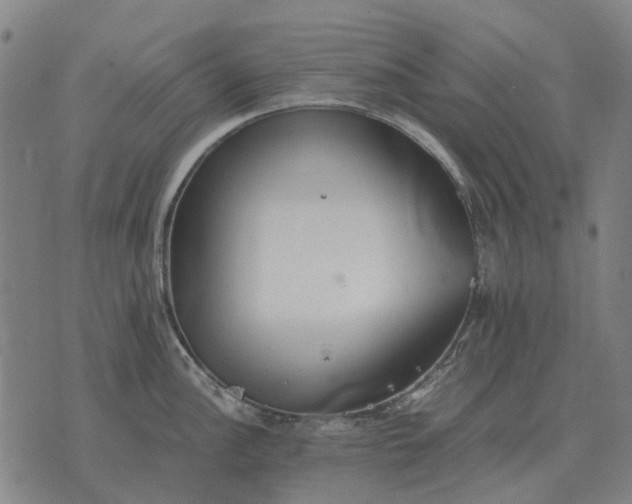 X0000076091148200610061635