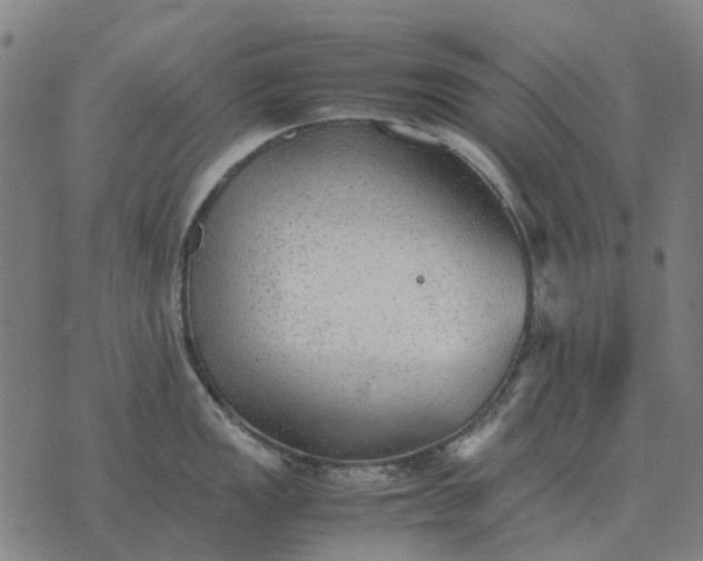 X0000076091149200610061635