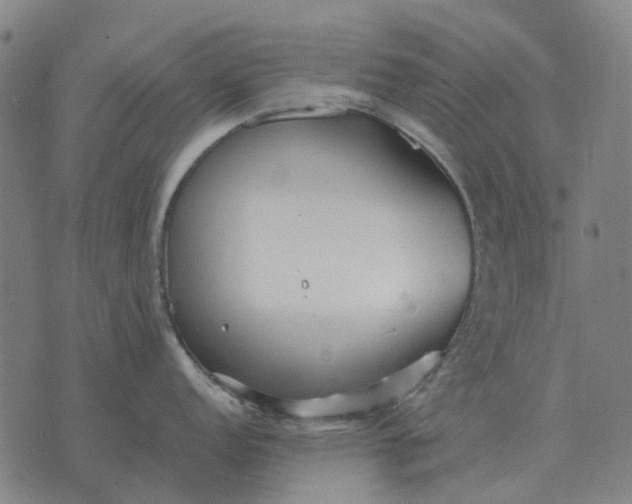 X0000076091152200610061635