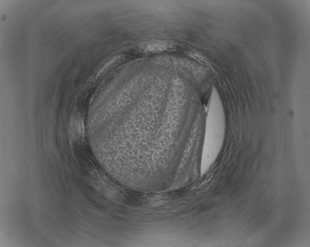 X0000076091155200610061634