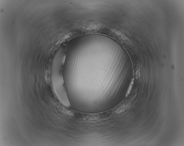 X0000076091156200610061634