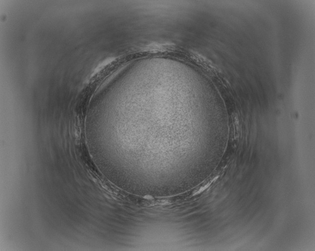 X0000076091158200610061634