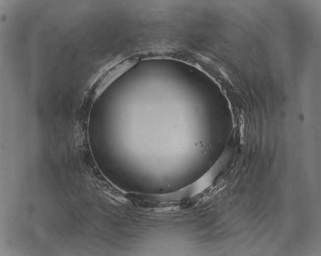 X0000076091160200610061634