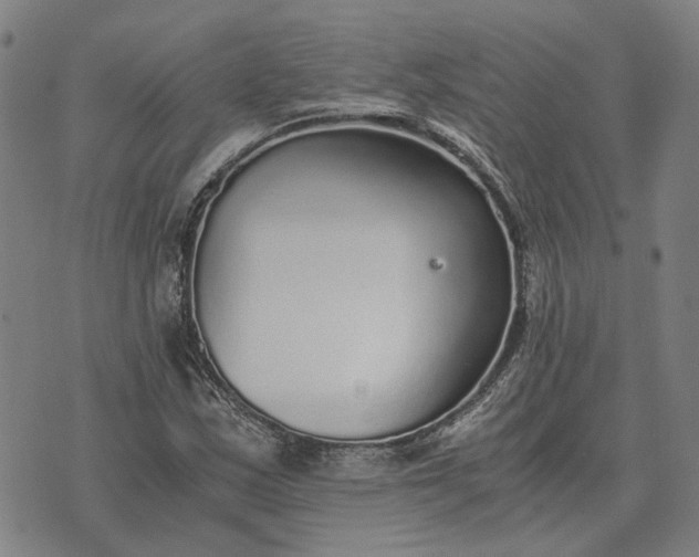 X0000076091163200610061634