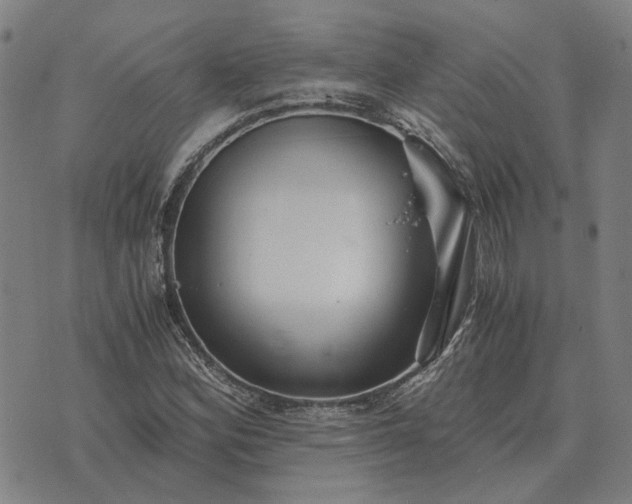 X0000076091164200610061634