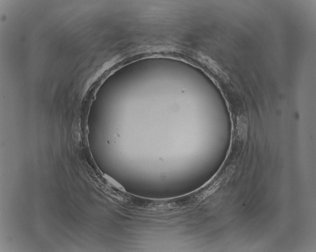 X0000076091165200610061634