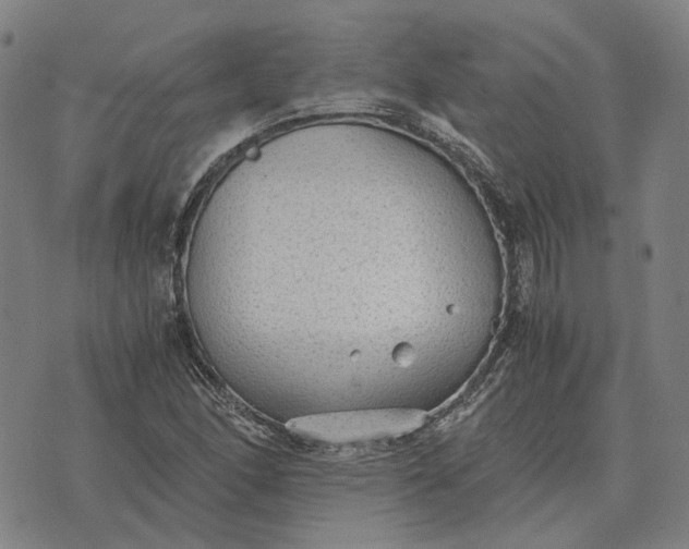 X0000076091166200610061634