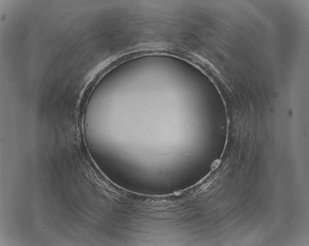 X0000076091168200610061634