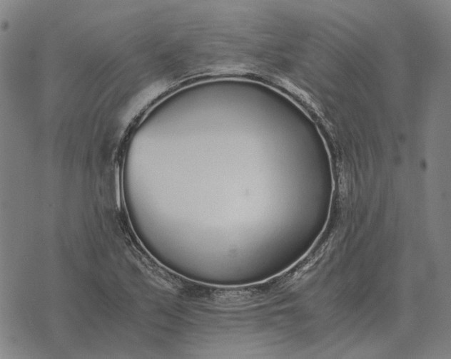 X0000076091171200610061634