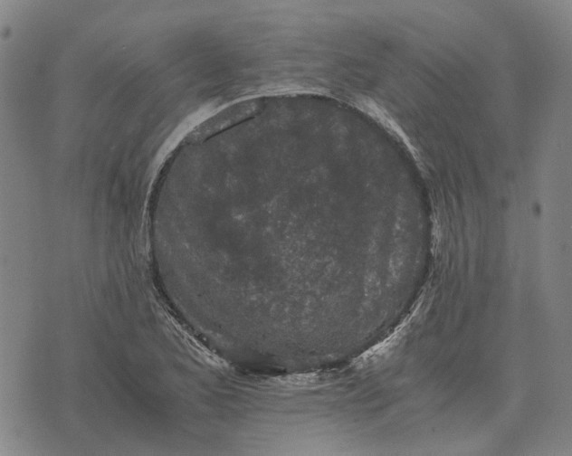 X0000076091173200610061634