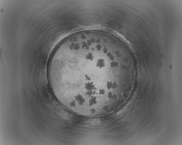 X0000076091174200610061633