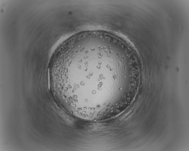 X0000076091175200610061633