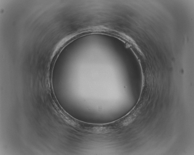 X0000076091176200610061633