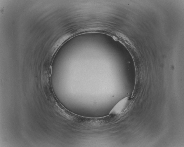 X0000076091177200610061633