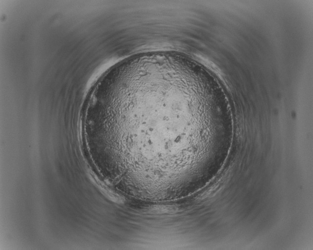 X0000076091179200610061633