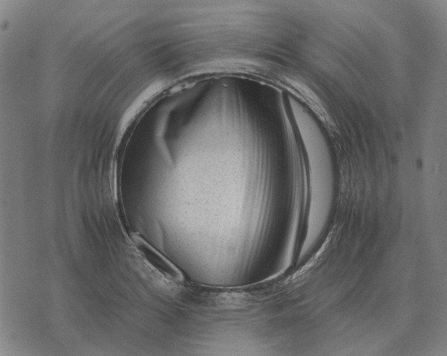 X0000076091180200610061633