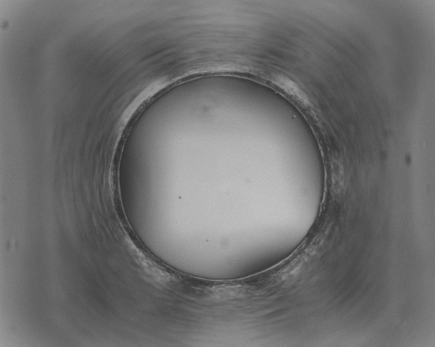 X0000076091181200610061633