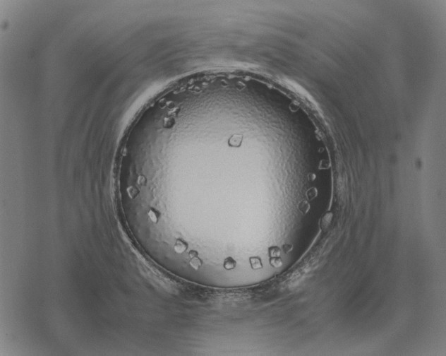 X0000076091183200610061633