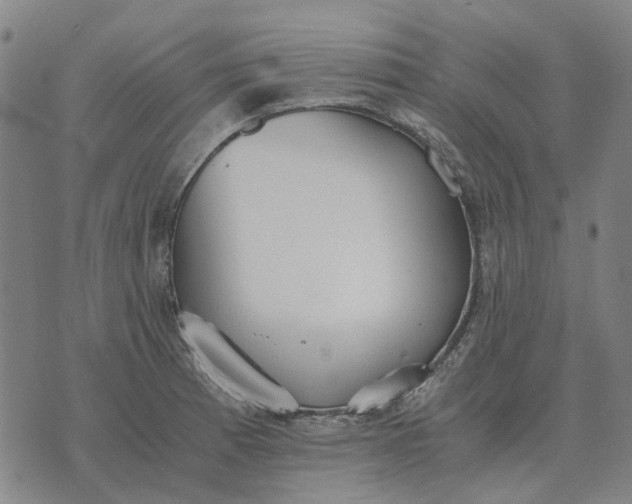 X0000076091185200610061633