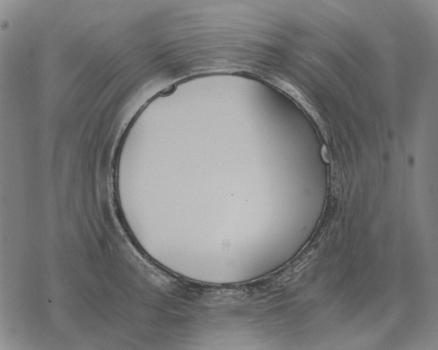 X0000076091187200610061633