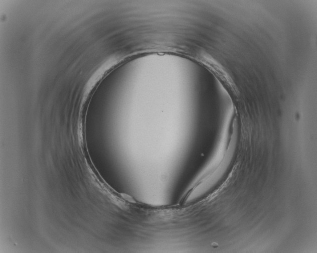 X0000076091188200610061633