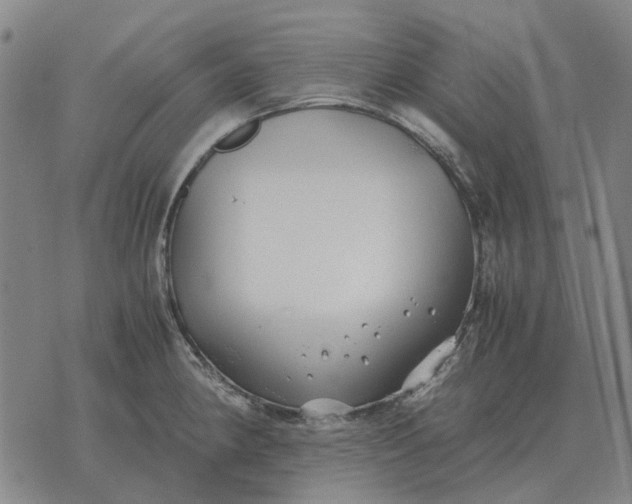 X0000076091190200610061633