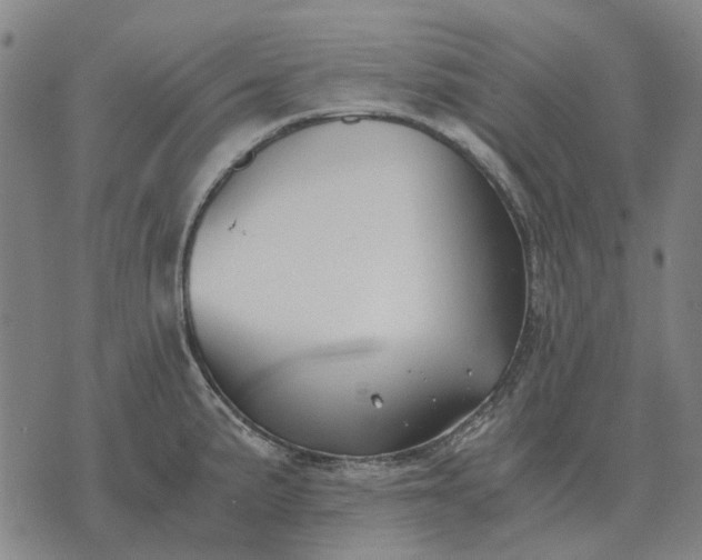 X0000076091191200610061633