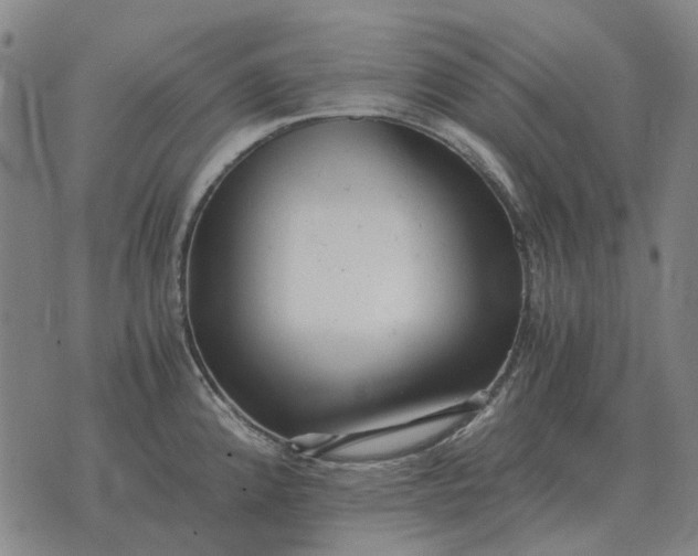 X0000076091192200610061633