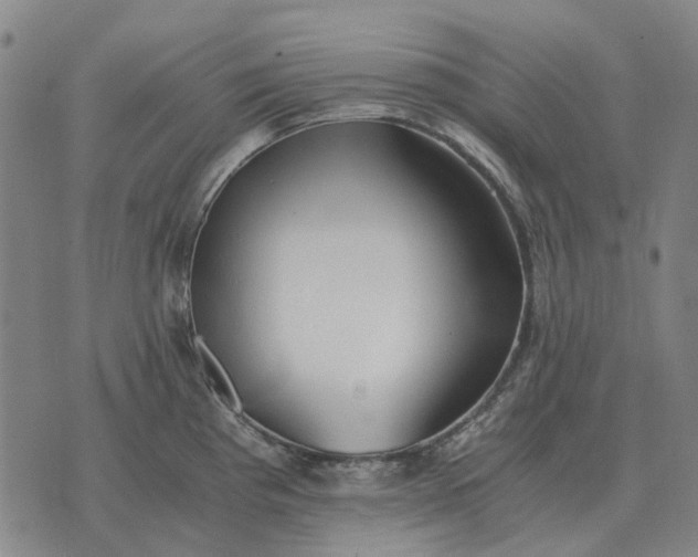 X0000076091193200610061633