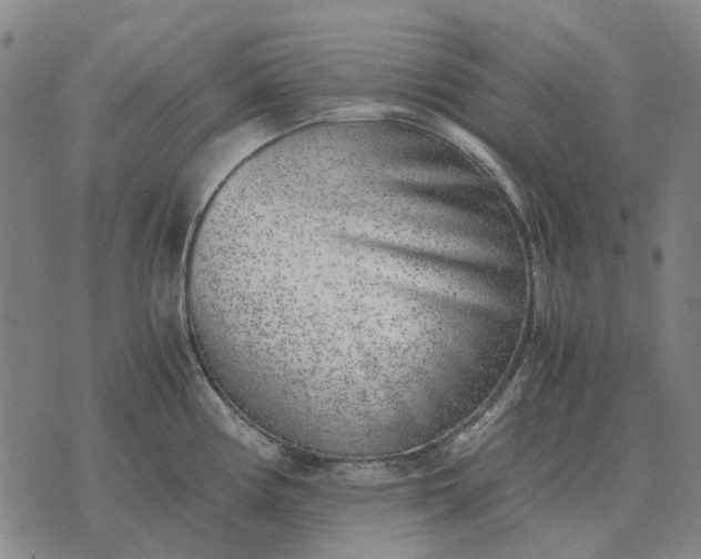 X0000076091194200610061633