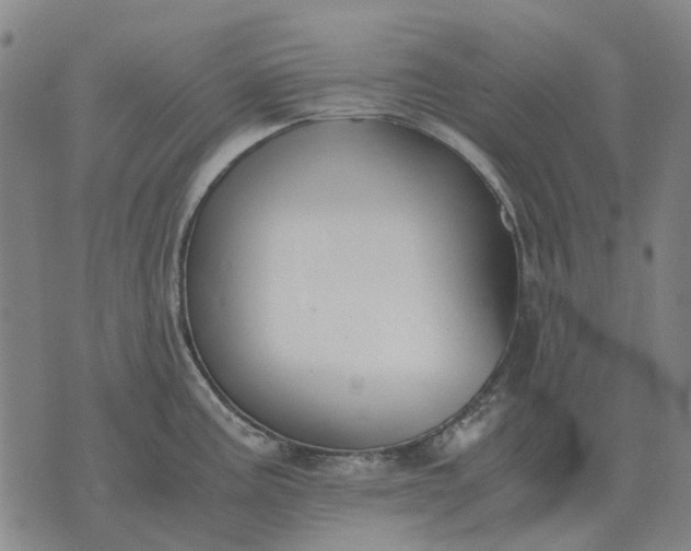 X0000076091195200610061633