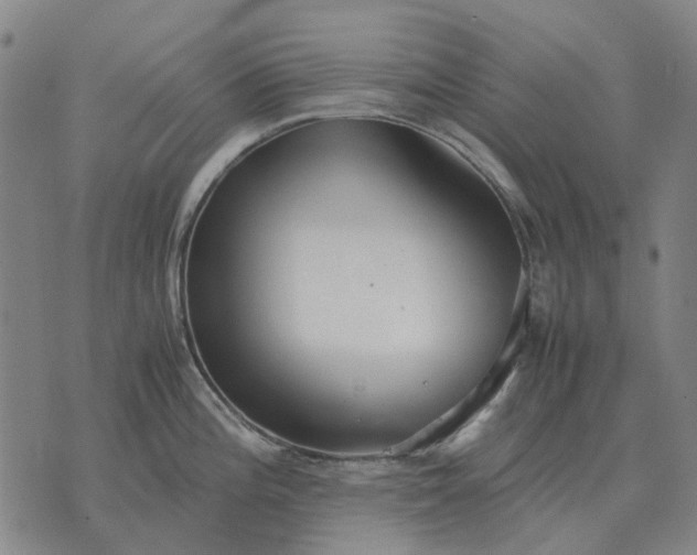 X0000076091196200610061633