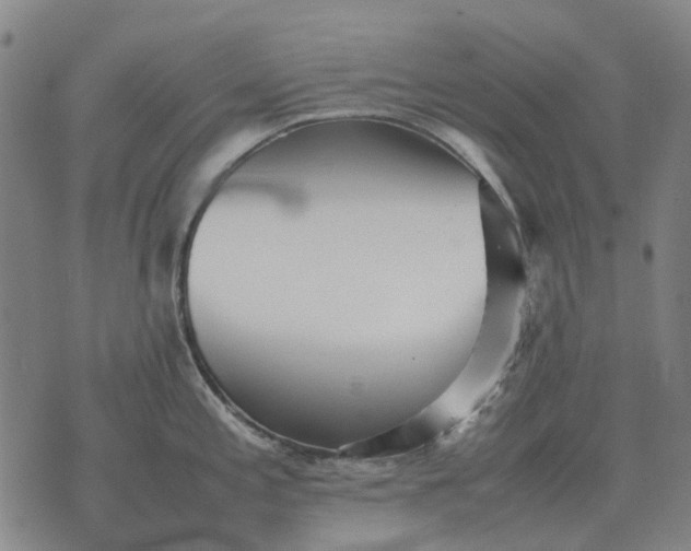 X0000076091197200610061633