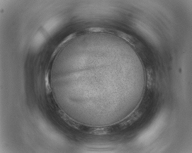 X0000076091198200610061633