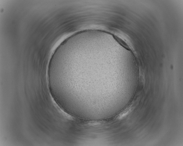 X0000076091199200610061633